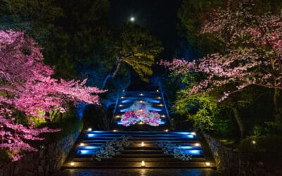 How Businesses Can Use 3D Projection Mapping for Events and Promotions